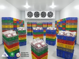 Penawaran Harga Cold Storage Freezer